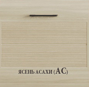 0 kamelia AS 10