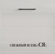 0 kamelia CY 10